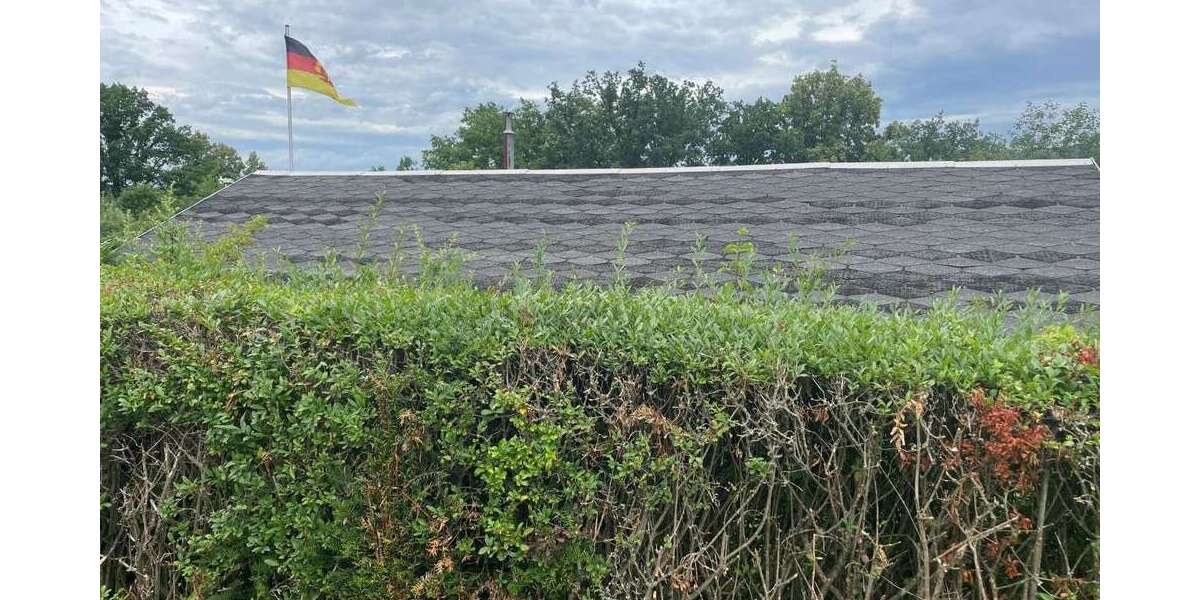 Dach