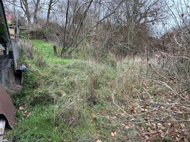Garten 2