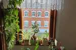 Mediterraner 3- Seitenhof mit großer Scheune, 4 Garagen und großem Grundstück - Bauernhaus, Landhaus Pößneck | Angebot:26748116